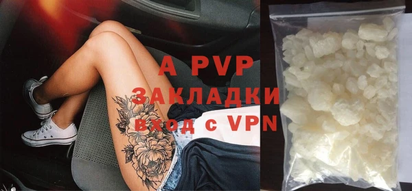 дмт Инта