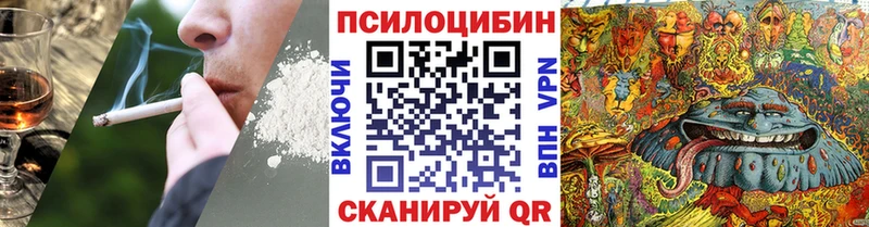 Купить закладки  Верхнеуральск  Псилоцибиновые грибы Psilocybe 